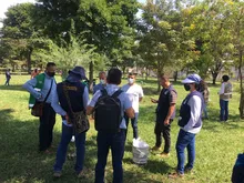 Un bosque con 4.100 árboles será entregado a la Comuna 21
