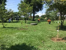 Un bosque con 4.100 árboles será entregado a la Comuna 21