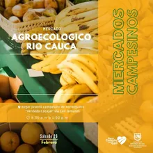 Este fin de semana lo fresco, natural y orgánico se tomará Cali