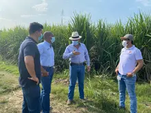 Capturan banda criminal dedicada a vender predios ilegales en Cali