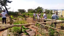 Desarrollo Económico visita huertas comunitarias del jarillón para articular estrategias sostenibles en Cali