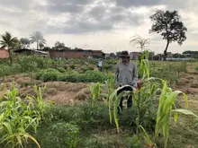 Desarrollo Económico visita huertas comunitarias del jarillón para articular estrategias sostenibles en Cali
