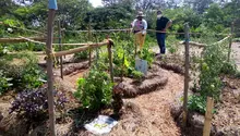 Desarrollo Económico visita huertas comunitarias del jarillón para articular estrategias sostenibles en Cali