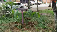 El ‘Parque del sancocho’ hierve de emociones