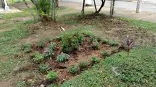 El ‘Parque del sancocho’ hierve de emociones