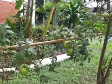 Experiencias comunitarias que transforman espacios para la convivencia  