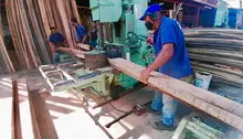 El Dagma les da ‘madera’ a los ilegales