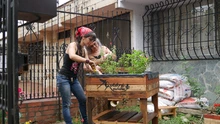 Estrategias para atraer a las aves y disfrutarlas en 
