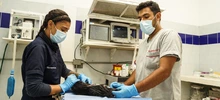 Informe Especial: Cali tiene un Hogar de Paso… precisamente, para no quedarse