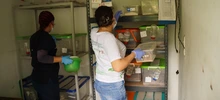 Informe Especial: Cali tiene un Hogar de Paso… precisamente, para no quedarse