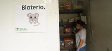 Informe Especial: Cali tiene un Hogar de Paso… precisamente, para no quedarse