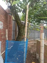Dagma ejerce autoridad ambiental en proyectos urbanísticos y de infraestructura 