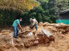 Umata entrega insumos para el fortalecimiento de las huertas urbanas