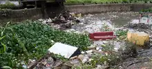 Siga las recomendaciones: va a seguir lloviendo en el territorio