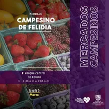 Este sábado, que el alimento sea tu medicina con los ‘Mercados Campesinos’