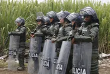 Recuperar el corredor ecológico de Navarro, tarea diaria del comité de invasiones