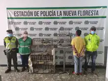 Operativo contra el tráfico y maltrato animal