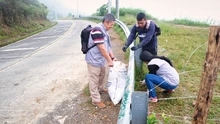 Jornada de recuperación ambiental en la vía a Cristo Rey