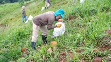 Jornada de recuperación ambiental en la vía a Cristo Rey