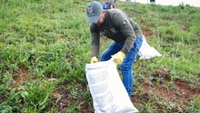 Jornada de recuperación ambiental en la vía a Cristo Rey