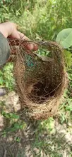 Proyectos urbanísticos tienen que respetar la fauna silvestre