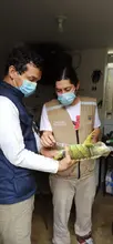 Proyectos urbanísticos tienen que respetar la fauna silvestre