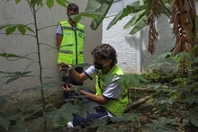 Florece un proyecto transversal e integrador gestado en tiempos de pandemia