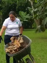 Aguerridas caleñas protegen la biodiversidad de la ciudad