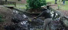 Aguerridas caleñas protegen la biodiversidad de la ciudad