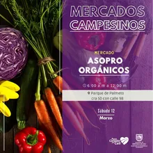 Prográmese con los mercados campesinos en la Sultana del Valle y sus corregimientos 