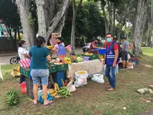 Prográmese con los mercados campesinos en la Sultana del Valle y sus corregimientos 