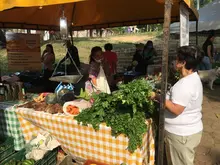 Prográmese con los mercados campesinos en la Sultana del Valle y sus corregimientos 
