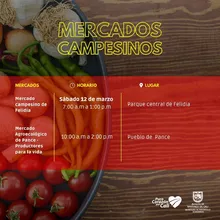 Prográmese con los mercados campesinos en la Sultana del Valle y sus corregimientos 
