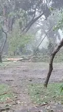 Cierran Ecoparque Písanos por afectaciones arbóreas