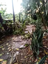 Cierran Ecoparque Písanos por afectaciones arbóreas