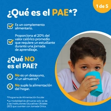 Infografía - Qué es el PAE