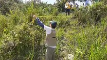 En cintura los agresores al medio ambiente urbano