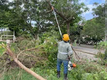 En cintura los agresores al medio ambiente urbano