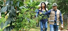Comedores comprometidos con el medio ambiente y la sostenibilidad alimentaria