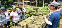 Comedores comprometidos con el medio ambiente y la sostenibilidad alimentaria