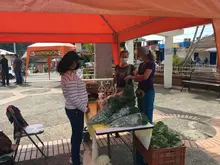 Este sábado, apoyemos los mercados campesinos en Cali y sus corregimientos