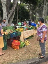 Este sábado, apoyemos los mercados campesinos en Cali y sus corregimientos