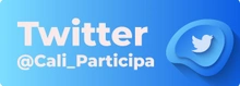 boton twitter