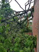 Educación atiende afectaciones ocasionadas por fuertes lluvias en planteles escolares 