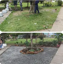 Renace el parque de los árboles en Llano Verde