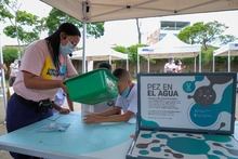 La migración como eje central de la biodiversidad animal y la especie humana