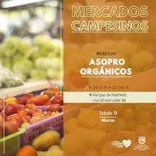 Este fin de semana compra saludable en los mercados campesinos de Cali y sus corregimientos