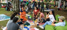 En Colseguros disfrutaron con el Picnic Ambiental del Dagma  