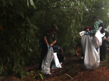 Comunidad de Altos de Santa Elena oxigenó el río Meléndez