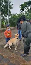 Con velatón se clausuró la tercera versión de ‘Camina San Antonio’